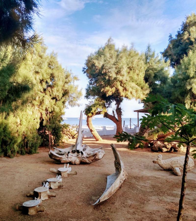 Punta Ballenas Mancora Lodge ภายนอก รูปภาพ